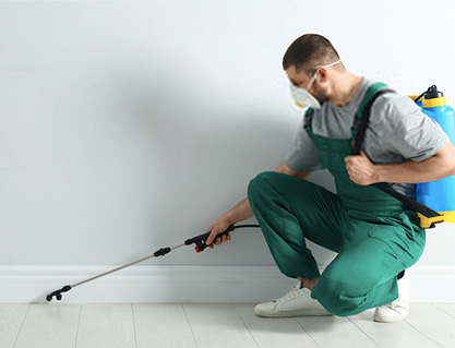 Pest Control Skye Services